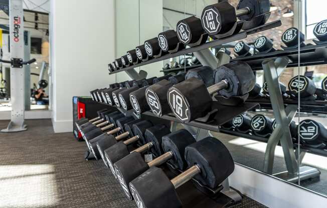 Two State-Of-The-Art Fitness Facility With Yoga And Strength Training at Alta Longwood, Longwood, Florida