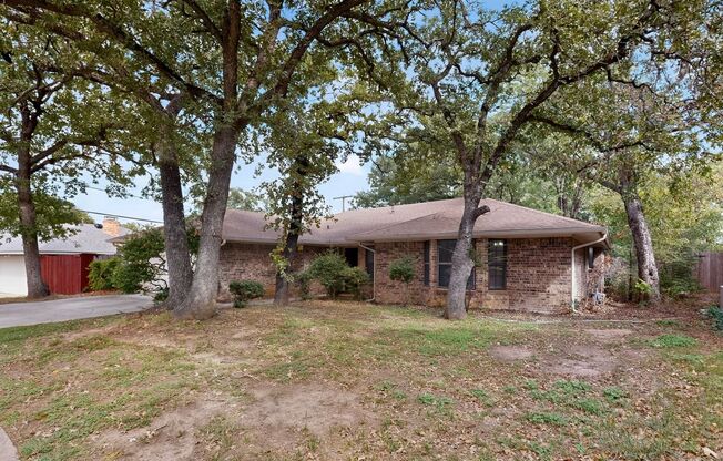 4909 CALIENTE DR