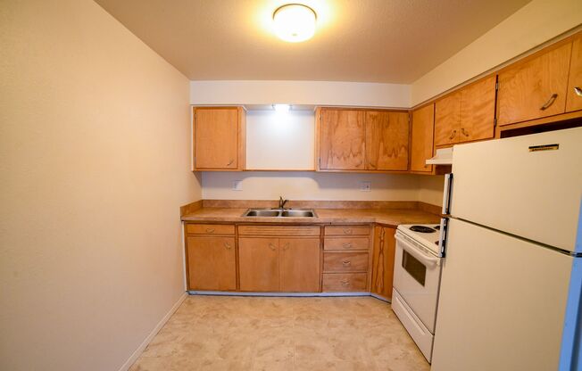 1 bed, 1 bath, 575 sqft, $895, Unit 203