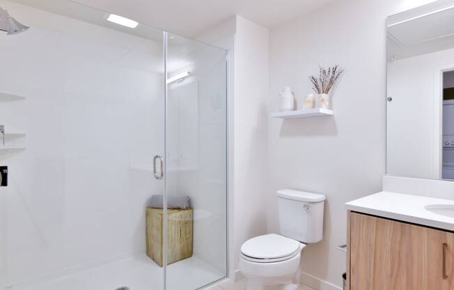 a white bathroom with a shower and a toilet