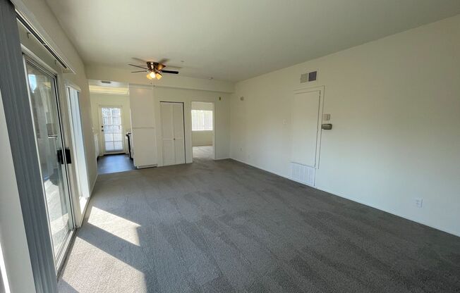 1 bed, 1 bath, 730 sqft, $2,395, Unit 301