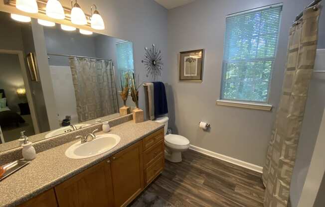 Edgewater Vista Apartments, Decatur Georgia, spacious master bathroom with large vanity