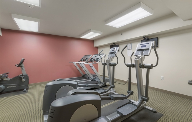 1 bed, 1 bath, 1,125 sqft, $3,000, Unit 205