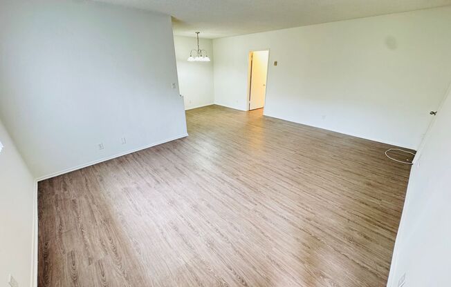 1 bed, 1 bath, 650 sqft, $1,995