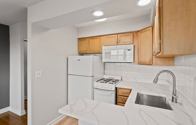 Studio, 1 bath, 298 sqft, $1,450, Unit 541