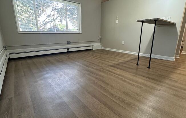 Deluxe Studio - Move In Special: $800 Security Deposit