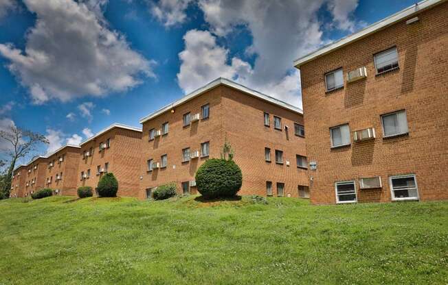 Professional Landscaping