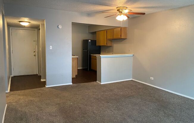 Large 1-Bedroom Off San Pedro