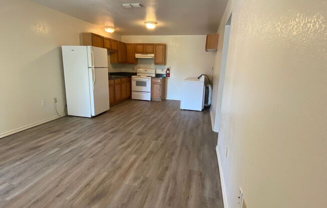 2 Bedroom 1 Bathroom Newly Updated Apartment