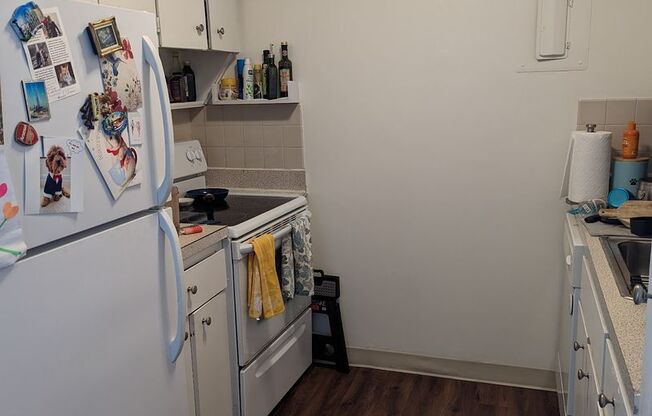 1 bed, 1 bath, 570 sqft, $3,000, Unit 1707