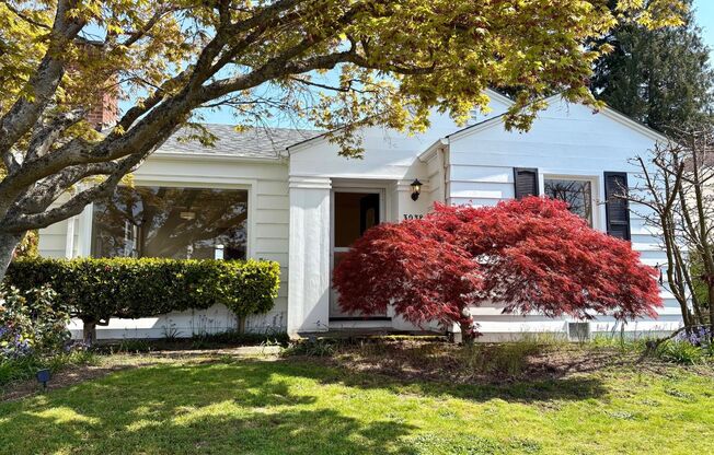 Magnolia Home