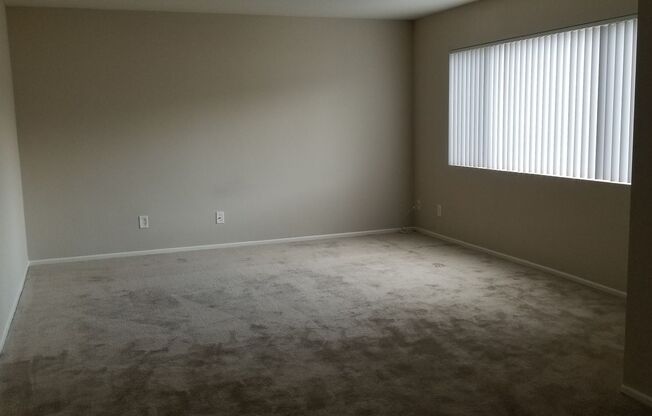 Studio, 1 bath, 475 sqft, $1,745, Unit 213