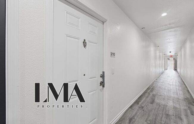 Studio, 1 bath, 500 sqft, $1,238, Unit 206