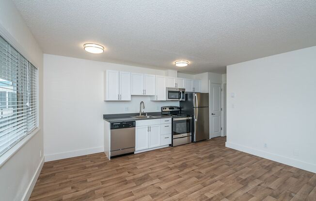 1 bed, 1 bath, 420 sqft, $1,299, Unit 31