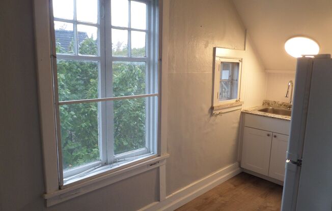 Studio, 1 bath, 500 sqft, $1,250, Unit Unit 2