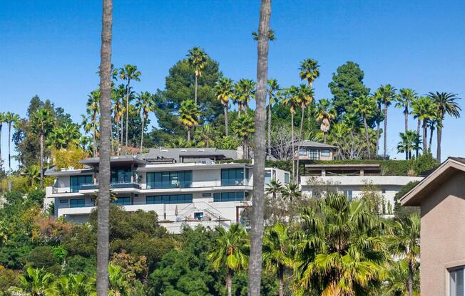 1 bed, 1 bath, 2,308 sqft, $5,600, Unit 232