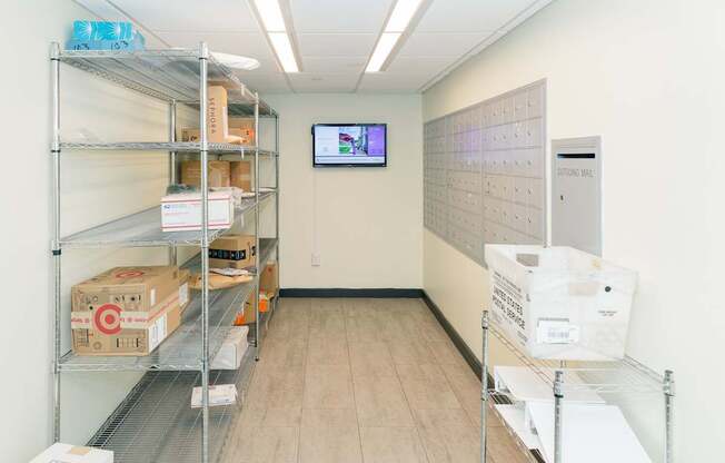 A storage room with shelves and boxes.