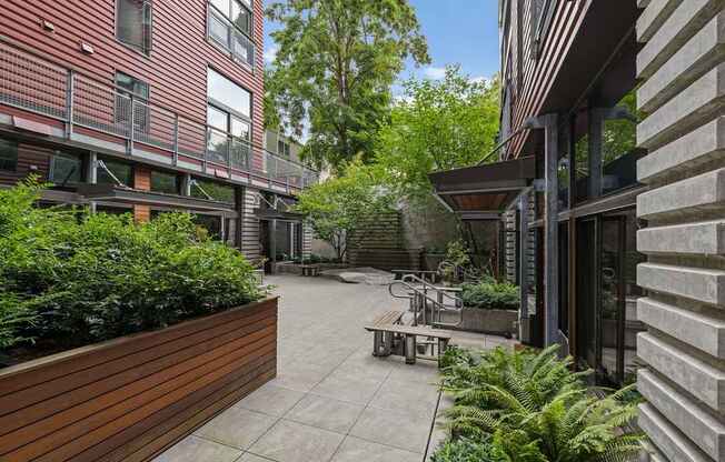 A courtyard with a wooden bench and a fern plant.