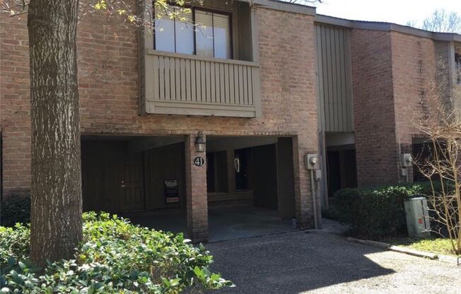 Completely Remodeled Townhouse in the heart of memorial!! The backyard porch has an amazing view of the Buffalo Bayou!!