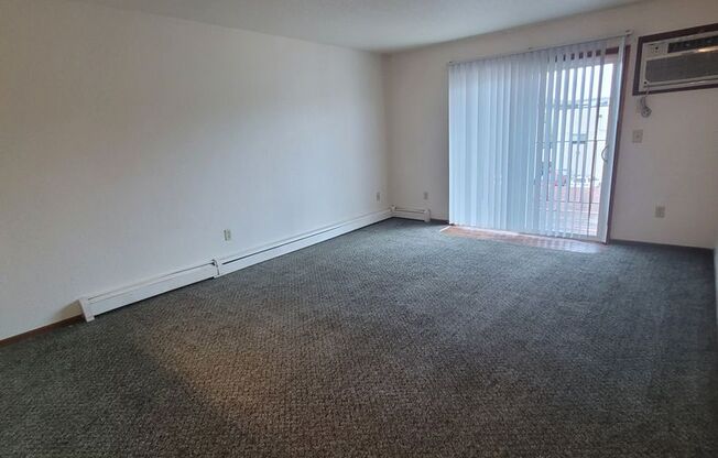 3 beds, 1 bath, 1,000 sqft, $955, Unit 302