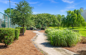 A pathway in a park with green trees and shrubs on either side.