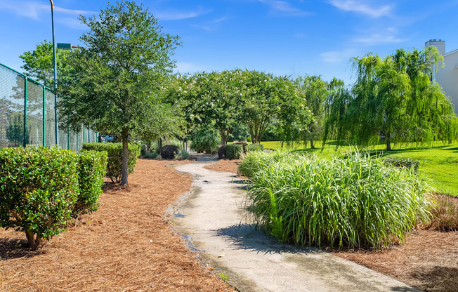 A pathway in a park with green trees and shrubs on either side.