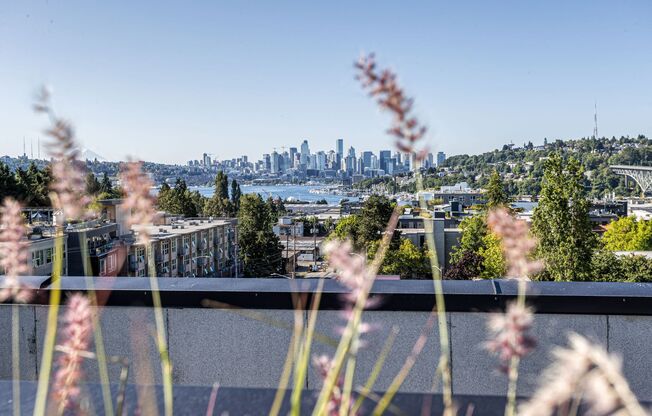 Welcome to Reed! Brand new, modern studios where Fremont meets Wallingford!