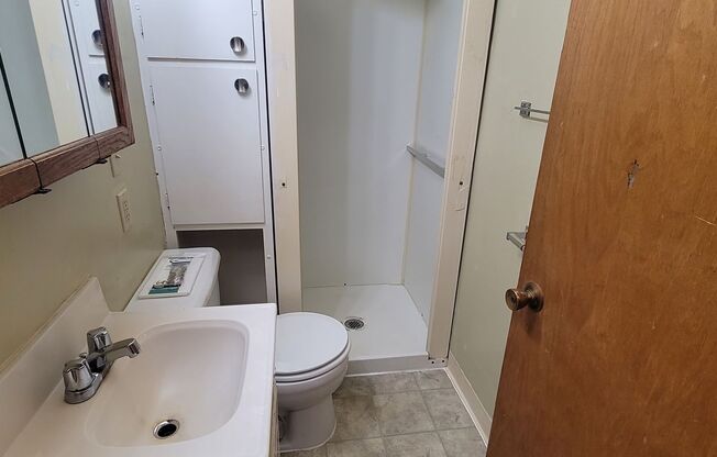 1 bed, 1 bath, $750, Unit 127Roman-06