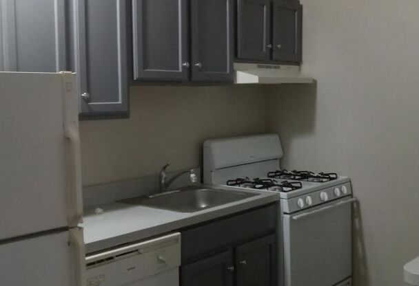 Studio, 1 bath, 400 sqft, $1,200, Unit 307