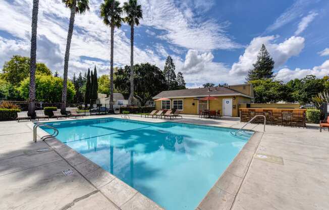 Community swimming pool area and sun deck with mature palm trees in the distance.