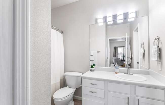 a bathroom with a toilet and a sink and a mirror