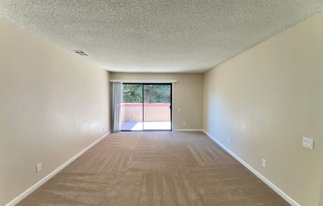 Beautifully Updated 2-Bedroom Condo! - Warm Springs!