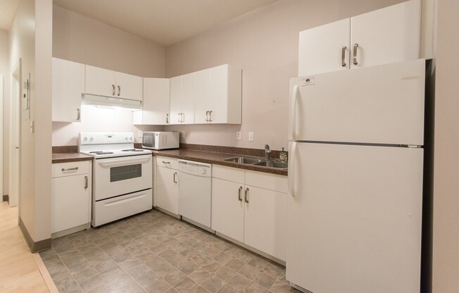 Studio, 1 bath, 565 sqft, $1,255, Unit 109