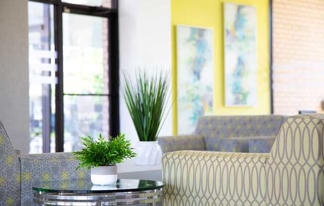 A potted plant sits on a glass table between two patterned chairs.