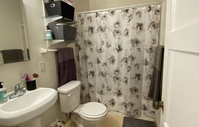 1 bed, 1 bath, 570 sqft, $2,295, Unit 110