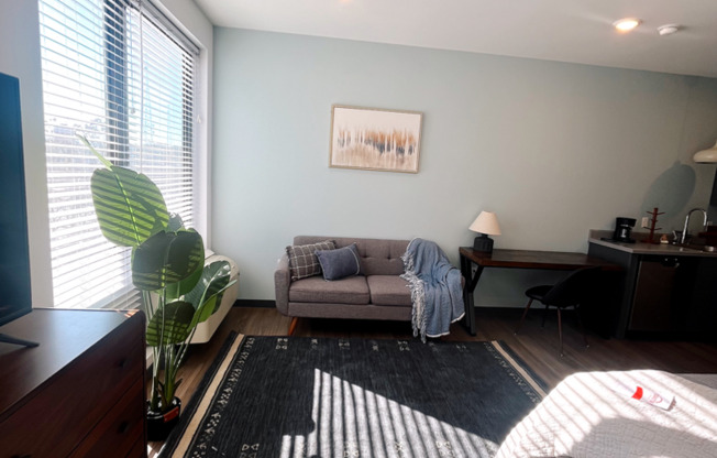 Studio, 1 bath, 425 sqft, $1,695, Unit 317 - Furnished