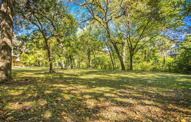 a park with trees and grass with a house in the background