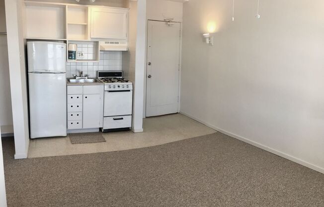 Studio, 1 bath, 233 sqft, $1,195, Unit 912