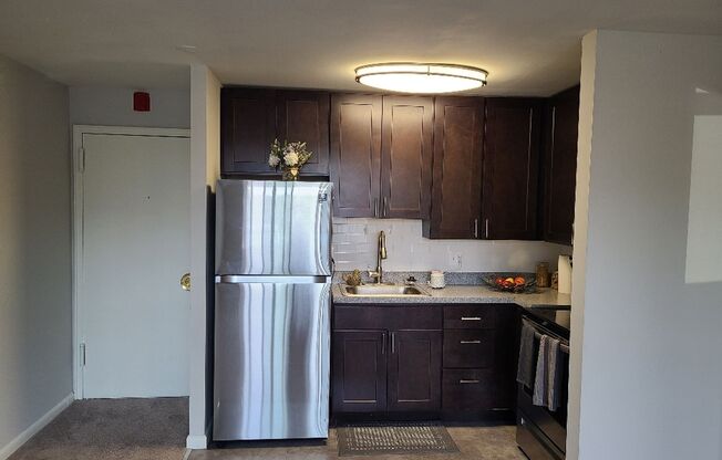 1 bed, 1 bath, 550 sqft, $1,345, Unit 117