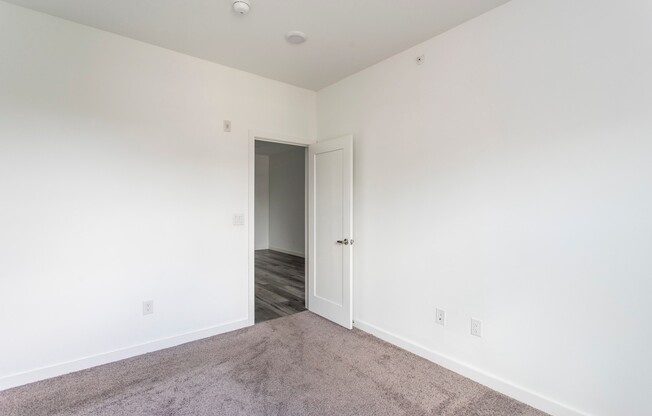 1 bed, 1 bath, 534 sqft, $1,300, Unit 1C