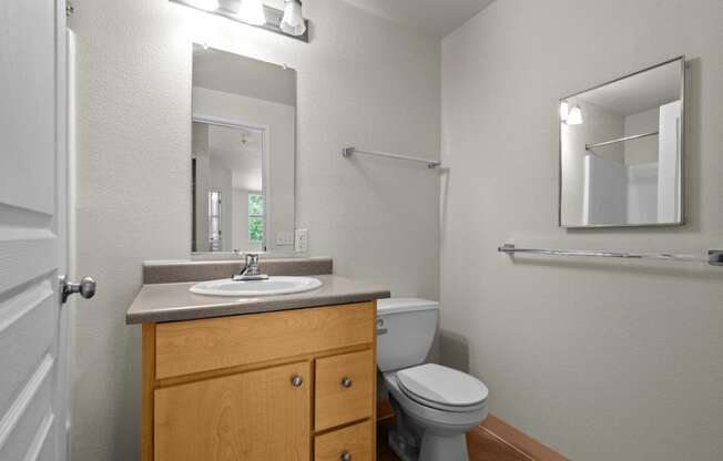 a bathroom with a sink toilet and a mirror