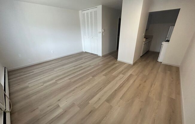 Studio, 1 bath, $850, Unit 105