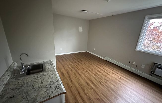 Studio, 1 bath, $916, Unit 201