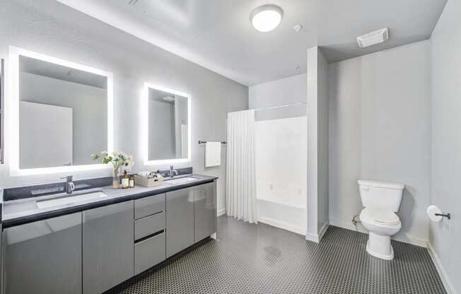 a bathroom with a sink and a toilet and a mirror