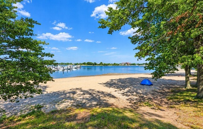 2 beds, 1 bath, 900 sqft, $2,300, Unit 2