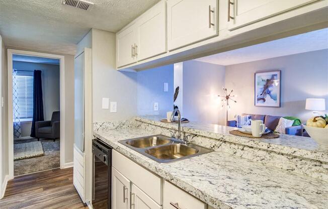 Different Kitchen at Glen Hollow, Georgia