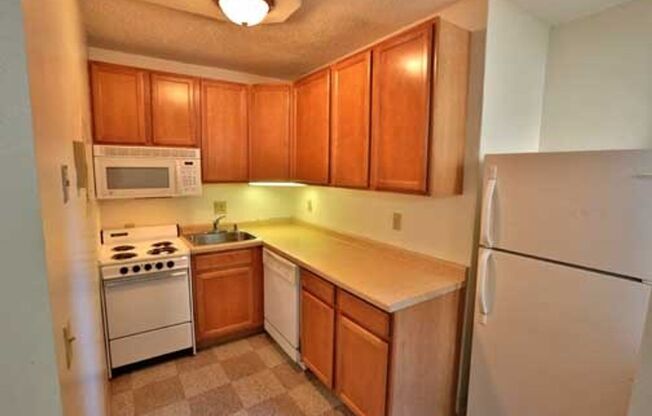 Studio, 1 bath, 370 sqft, $1,060