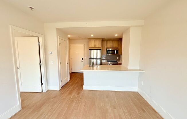 1 bed, 1 bath, $4,000, Unit 502