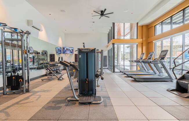 Cardio and weight stations in the club-quality fitness center