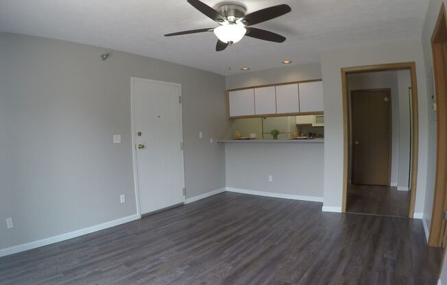 1 bed, 1 bath, 575 sqft, $870